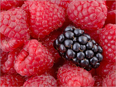 Fruits Photo Shoots