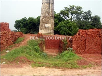 Wire Cut Red Bricks