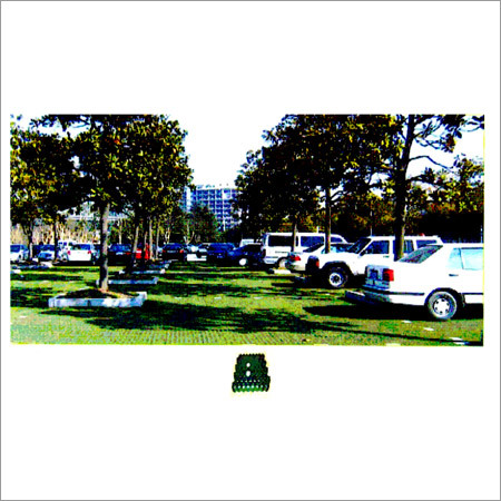 Grass Paver