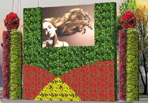 Vertical Garden
