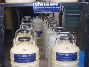 LN2 Transfer Container