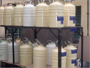 क्रायोकैन