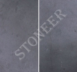 Greyhound Stone Veneer