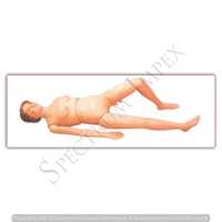 Nursing Training Manikin (basic)