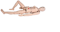 Multi-functional Female Nursing Simulator