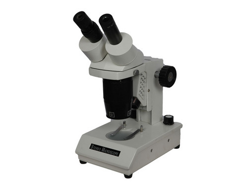 Stereo Microscope