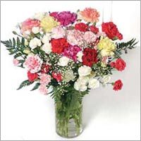 Carnation Flower Bouquets