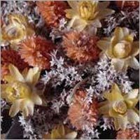 Dried Flower