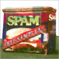 Promotional Inflatables