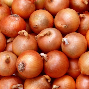 Fresh Onions