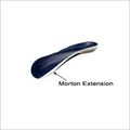 Morton Extension