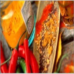 Spice Extract