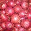 onions