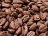 COFFEE SEED