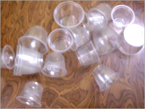  Disposable Cups