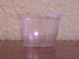 Disposable Container