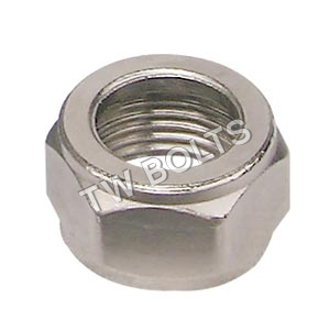 Stainless Steel Hex Nuts