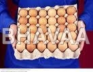 Papers Eggs Trays