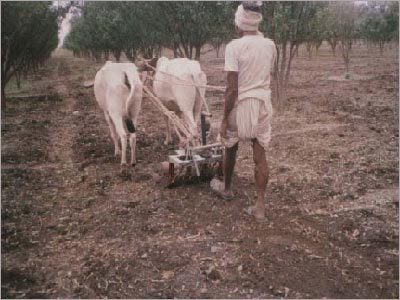 Ploughs