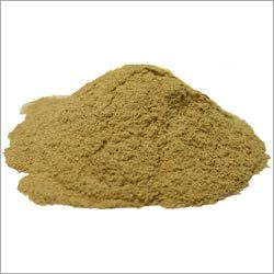 Glycyrrhiza