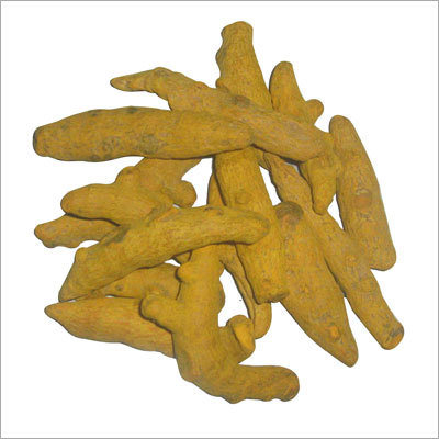 Turmeric