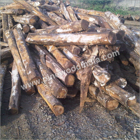 Pine Ripsaw Logs