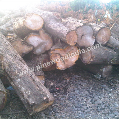 Timber Log By M.K. PINE WOOD LLP