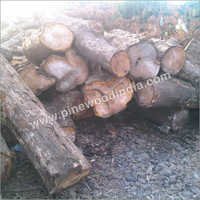 Timber Log