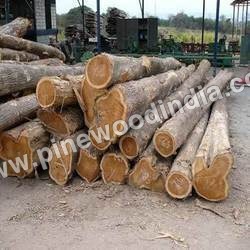 Non Ivory Coast Wood