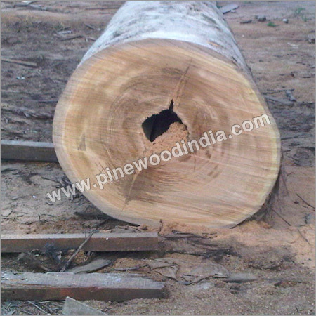 Salwood Log By M.K. PINE WOOD LLP