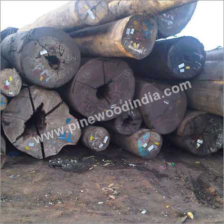 Meranti Wood Log