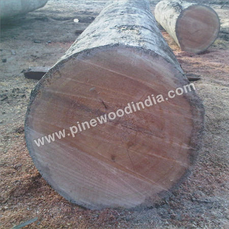 Timber Wood - Timber Type: Pine