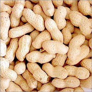 Groundnuts Peanuts