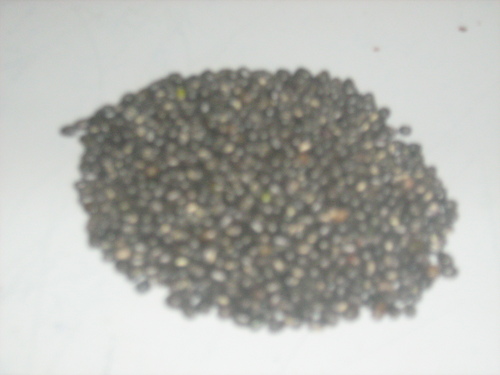 Black Pepper