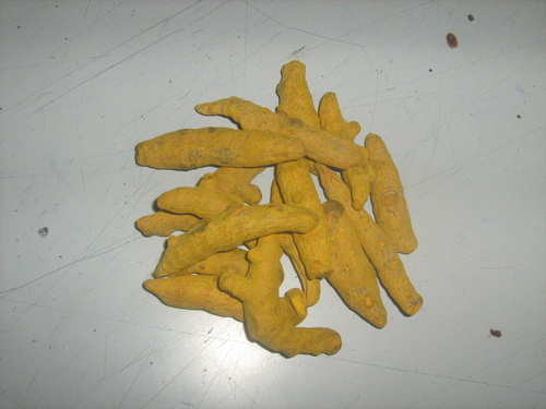 Yellow Turmeric