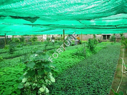 Green Net
