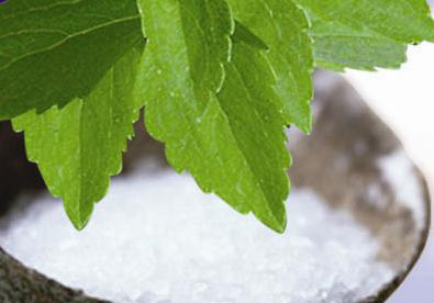 Stevia Extract Powder
