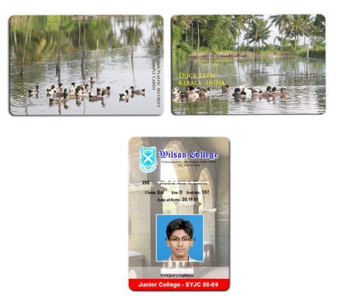 Photo ID Cards
