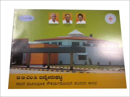 Political Brochures Printing