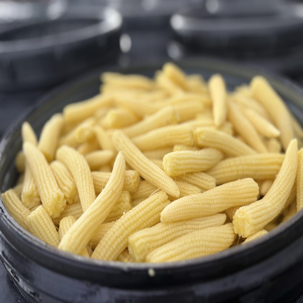 Preserved Baby Corn