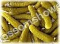 Preserved Gherkins
