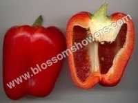 Processed Red Bell Pepper