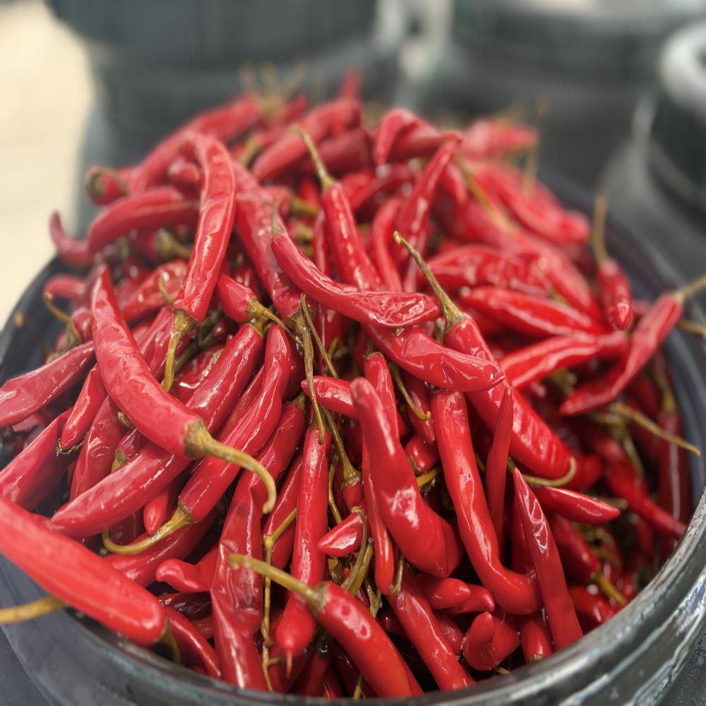 Preserved Red Paprika Whole/ Sliced