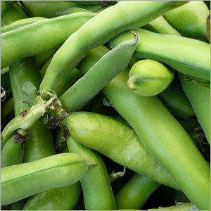 Fresh Beans
