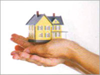 Insurance Consultant