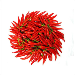 Red Chile - 5-7cm Conical Shape, Red Color | Spicy Heat, Culinary Uses, Natural Ingredient