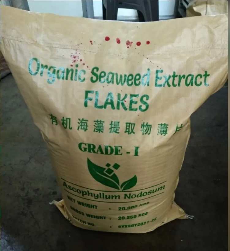 Seaweed Extract - Premium Quality, Organic Marine Source For Nutrient-Rich Applications