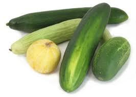 Cucumber