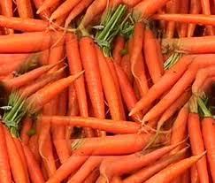 Carrot