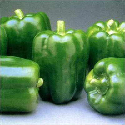 Capsicum